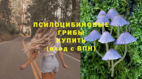 ПСИЛОЦИБИНОВЫЕ ГРИБЫ Вяземский